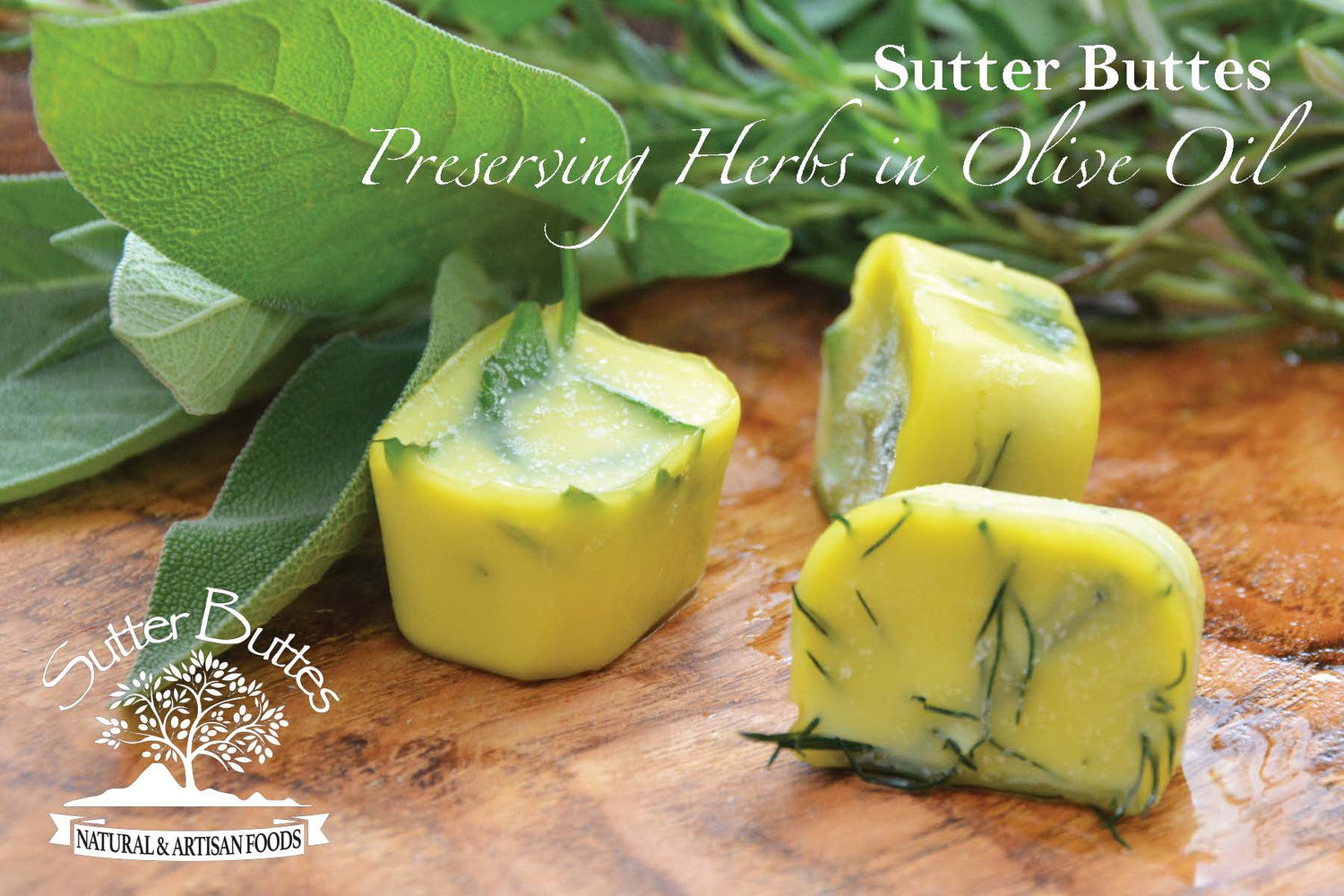 Preserving Herbs In Olive Oil