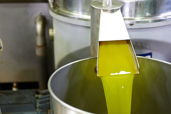 Sutter Buttes Olive Oil Olive Oil Production