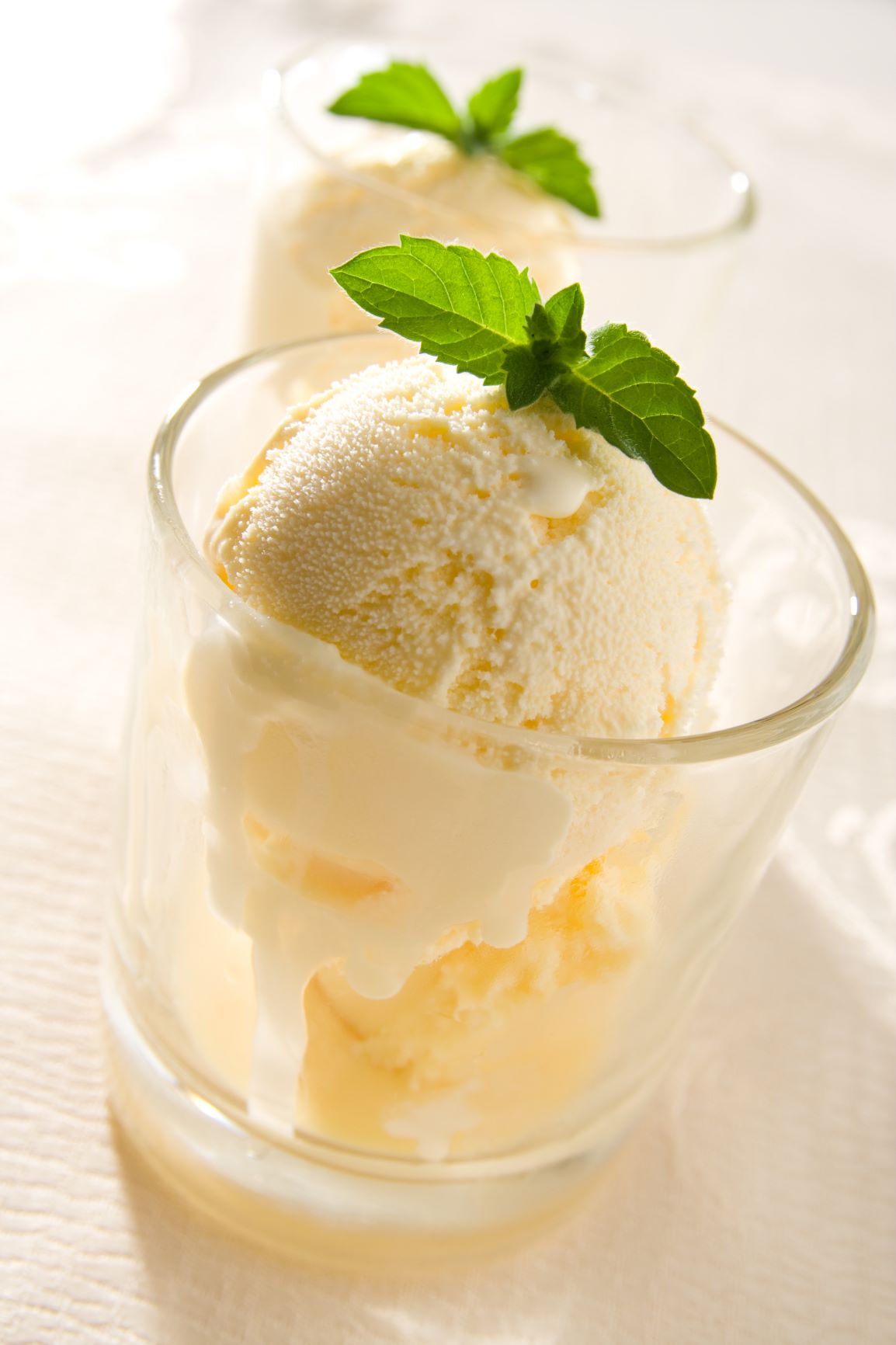 Coconut Milk Olive Oil Gelato